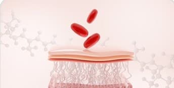 에스테필 특징 - Improvement of depressed areas