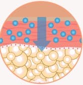 STEP 04 - Moisture is absorbed into the body