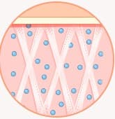 STEP 07 - Collagen production is stimulated