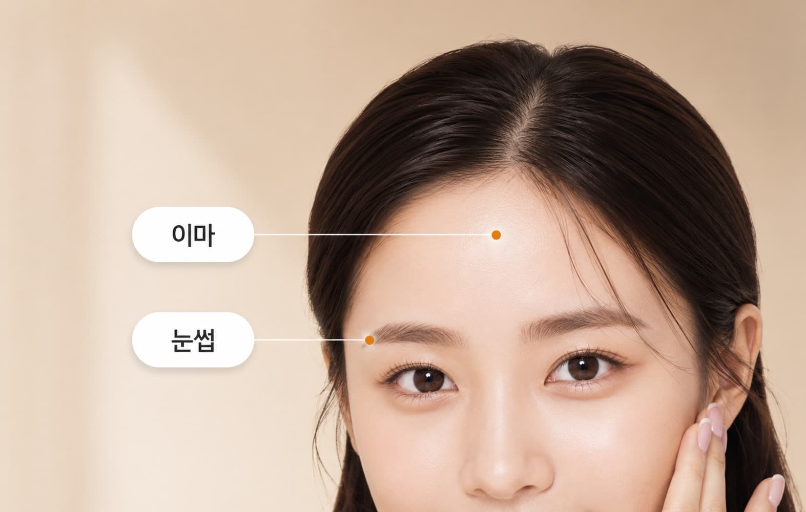 이마·눈썹 리프팅 시술 부위 - 이마와 눈썹 라인 안내