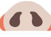 STEP 5 - 小鼻が対称になるよう繊細に寄せる