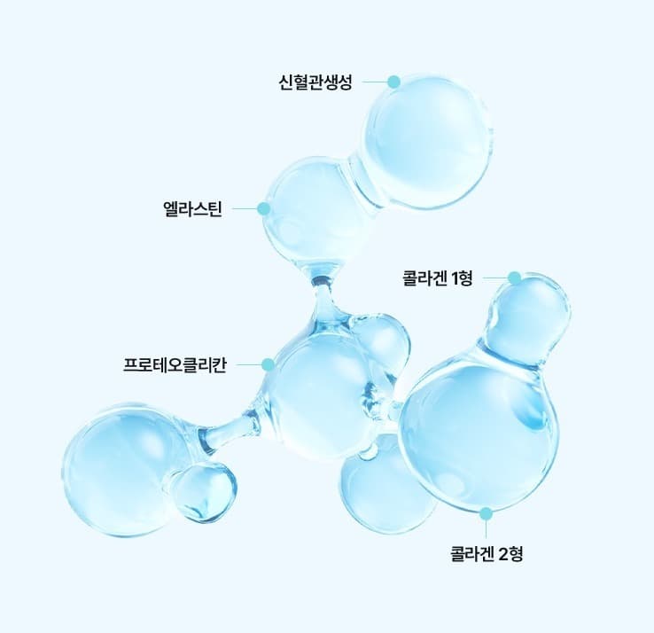 레디어스 CAHA가 활성화하는 5가지 피부재생 물질 구조도 - 신혈관생성, 엘라스틴, 콜라겐 1형, 프로테오클리칸, 콜라겐 2형