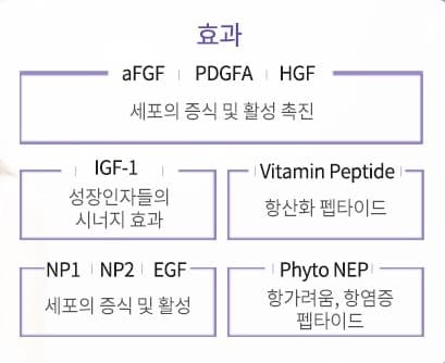 JCRE Complex 효과 구조도 - aFGF·PDGFA·HGF, IGF-1, Vitamin Peptide, NP1·NP2·EGF, Phyto NEP