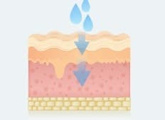 스컬트라 원리 03 - Wrinkles improve as moisture is absorbed into the body (피부 진피층 변화 일러스트)